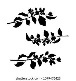 Vector silhouette of the branches of Apple or cherry trees with flowers, black color, isolated on white background