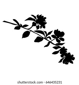 Vector silhouette of the branches of Apple trees with flowers, black color, isolated on white background