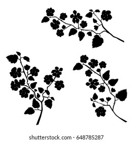 Vector silhouette of the branches of Apple trees with flowers, black color, isolated on white background