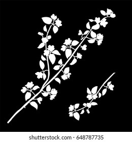 Vector silhouette of the branches of Apple trees with flowers, white color, isolated on black background