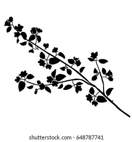 Vector silhouette of the branches of Apple trees with flowers, black color, isolated on white background