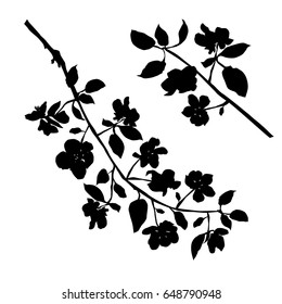 Vector silhouette of the branches of Apple trees with flowers, black color, isolated on white background