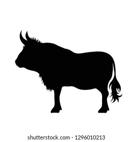 Vector silhouette of bull on white background.
