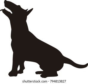 Vector silhouette of a bull terriet sitting