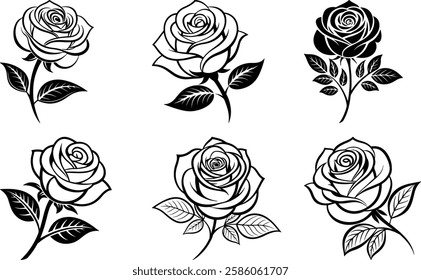 A vector silhouette Bundle image Black Rose with a white background