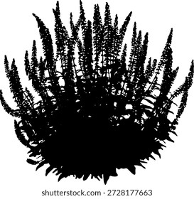 Vector silhouette of a bush, isolated on white background. Detailed black illustration of grass and garden plants. Ideal for landscape design, field scenes, and nature backgrounds.