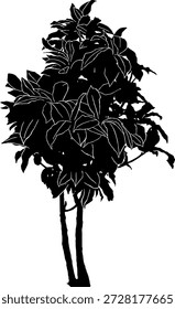 Silueta de Vector de un arbusto, aislado sobre fondo blanco. Ilustración negra detallada de hierba y plantas de jardín. Ideal para el diseño de paisajes, escenas de campo y fondos de la naturaleza.
