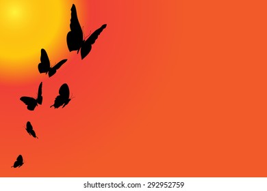 Vector silhouette of butterflies are flying at sunset.
