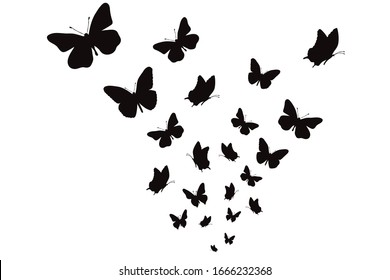 蝶 シルエット の画像 写真素材 ベクター画像 Shutterstock
