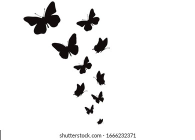 Vector silhouette of butterflies on white background. Symbol of nature and insect.