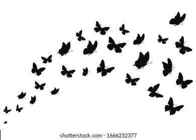 Vector silhouette of butterflies on white background. Symbol of nature and insect.