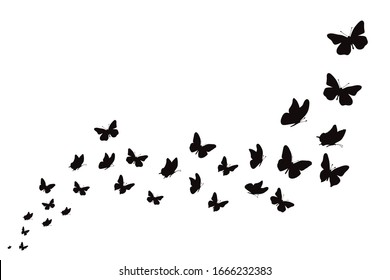 Vector silhouette of butterflies on white background. Symbol of nature and insect.