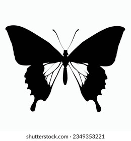 Vector Silhouette of Butterfly, Beautiful Butterfly Graphic for Nature and Insect Themes