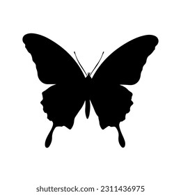 Silhouette vectorial mariposa aislada en blanco, ilustración vectorial. Mariposa negra