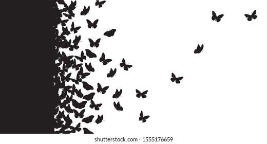 Vector silhouette of butterfly on white background. Symbol of animal, insect, fly, migratory.