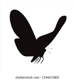 Silueta vectorial de mariposa sobre fondo blanco. Símbolo de animal.
