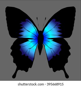 Vector silhouette of butterfly on a white background.