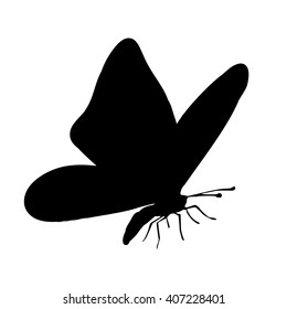 Vector silhouette of butterfly on a white background.