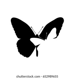 Vector silhouette of butterfly on white background.