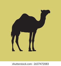 vector silhouette of a camel