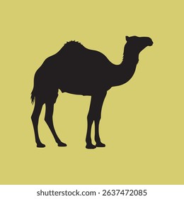 vector silhouette of a camel