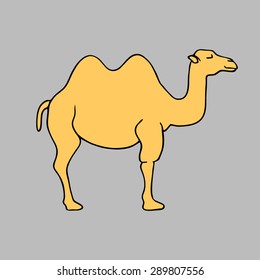 Vector silhouette of a camel