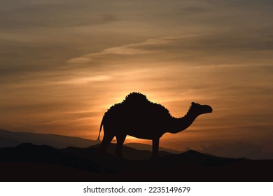 Vector silhouette of camel on sunset background. Symbol of desert and caravan.