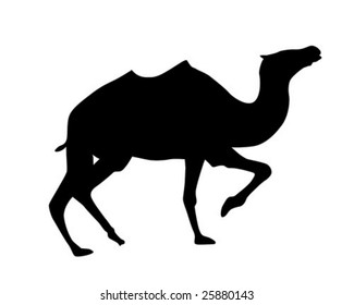 camello de silueta vectorial sobre fondo blanco