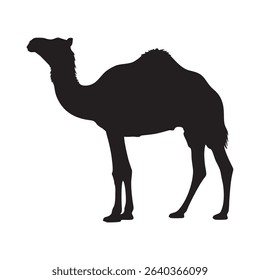 vector silhouette of a camel on white background