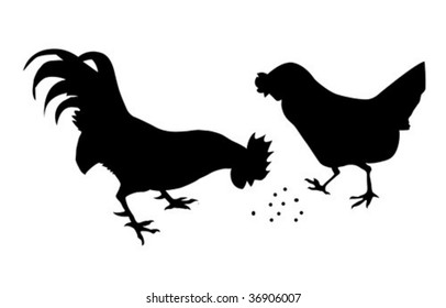 vector silhouette of the camel on white background