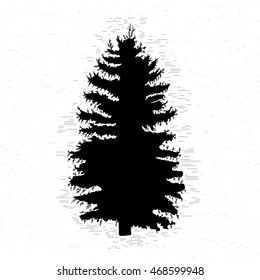 Vector silhouette of Canadian pine tree. Conifer tree silhouettes on the white textured background.