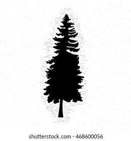 Vector silhouette of Canadian pine tree. Conifer tree silhouettes on the white textured background.
