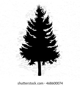 Vector silhouette of Canadian pine tree. Conifer tree silhouettes on the white textured background.