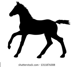 Vector silhouette of a cantering foal.