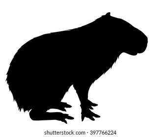 Vector silhouette of the Capybara.