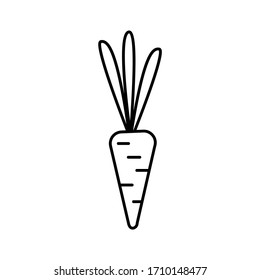 Silueta vectorial de zanahoria sobre fondo blanco, dieta sana y equilibrada. Cultura vegetal en el jardín. Diseño plano del artículo sin relleno. Ilustración de vectores y material.