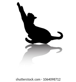 Vector silhouette of the cat,  black color, isolated on white background