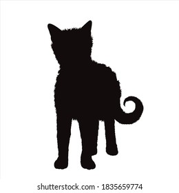 Vektorsilhouette einer Katze auf weißem Hintergrund. Symbol des Haustieres und Haustieres.