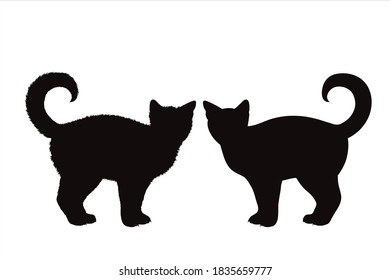 Vector silhouette of cat on white background. Symbol of home animal and pet.