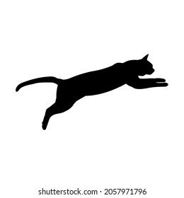 vector silhouette of a cat on a white background