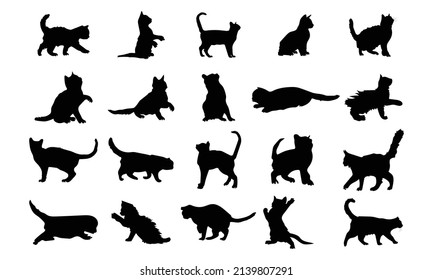 Vector silhouette of a cat on white background.