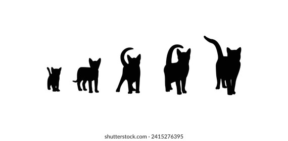 Vector silhouette of a cat on a white background. Collection of vector silhouettes of cats from small to large. Symbols of animals and pets.