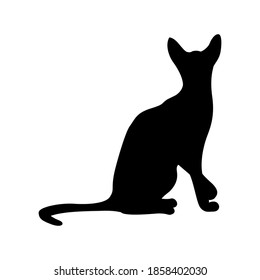 Vector silhouette of a cat. Pet. Silhouettes of cats. Playful pet.