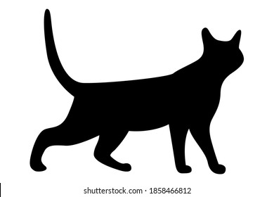 Vector silhouette of a cat. Pet. Silhouettes of cats. Playful pet. Poses.