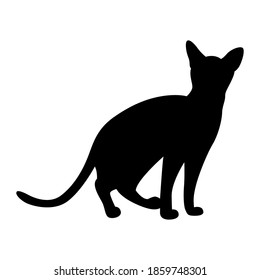 Vector silhouette of a cat. Pet. Silhouettes of cats. An interested pet. Poses, clipart. Vector print
a spying cat.
