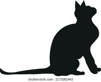 Vector silhouette of a cat, pet sits and looks up, kitten profile