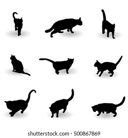 Vector Silhouette Cat  Set