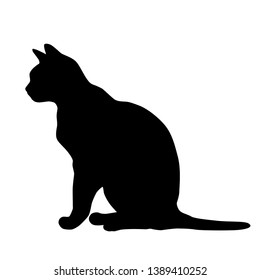 Vector silhouette of the cat  sitting,  black color, isolated on white background