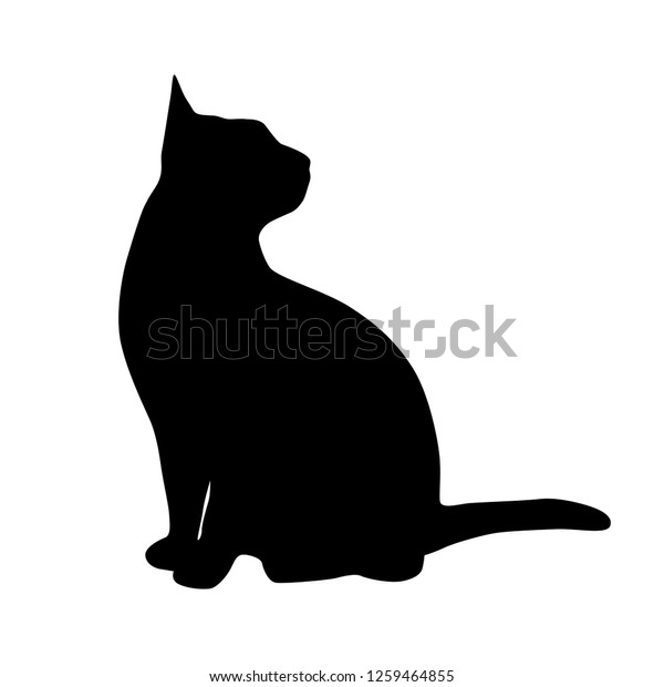 白い背景に黒い背景に座った猫のベクターシルエット のベクター画像素材 ロイヤリティフリー