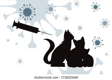 Vector silhouette of cat with vaccination symbol injection on white background. Sign animal testing character.